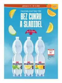 Globus leták týden 45 Strana 38