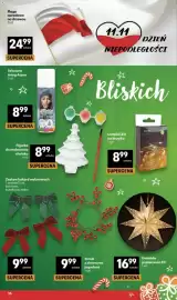 Delikatesy Centrum gazetka tydzień 45 Strona 36: Sztuczny śnieg Arpex €8,99, Flaga narodowa na drzewcu €24,99
