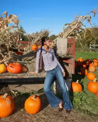 American Eagle (válido hasta 5-11)