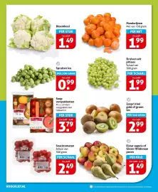 Hoogvliet folder week 45 Pagina 6: Druiven wit pitloos €1,99, Soep verspakketten €3,79