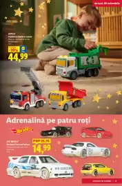 Catalog Lidl Pagină 17