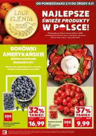 Kaufland gazetka Strona 5: Borówki amerykańskie €16,99, Pomidory rzymskie mini €9,99
