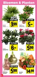 Vomar Voordeelmarkt folder week 45 Pagina 26: Lidcactus €5,00, Cyclaam €5,99