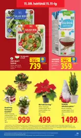 Lidl akciós újság hét 45 Oldal 53: Chef Select Salátatál €739,00, Vemondo bio rizsital €359,00