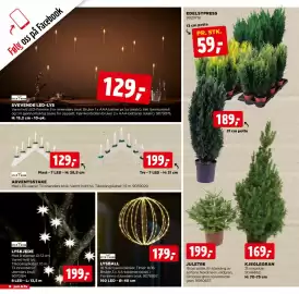 Jem & fix kundeavis uke 45 Side 18: KJEGLEGRAN €169,00, ADVENTSSTAKE