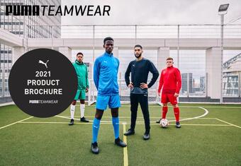 puma negro wikipedia