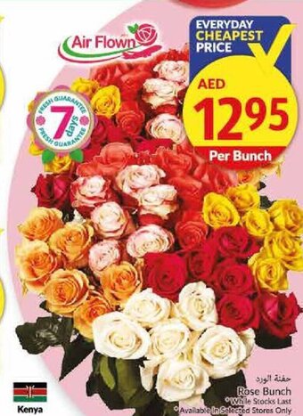 Viva Rose Bunch offer