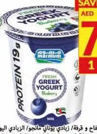 Viva Marmum Greek Yogurt Blueberry offer