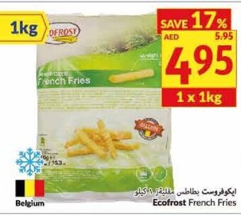 Ecofrost French Fries
