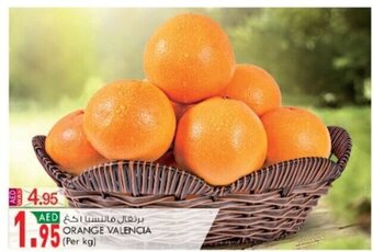 KM Trading Orange Valencia Per Kg offer