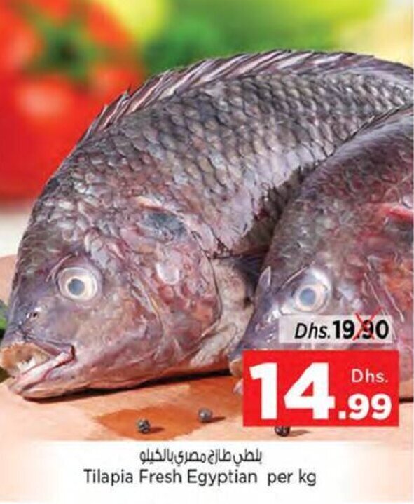Tilapia Fresh Egyptian Per Kg offer at Nesto