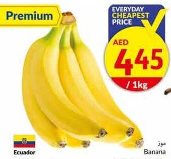 Viva Banana offer