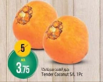 Safari Hypermarket Tender coconut S/L 1pc offer