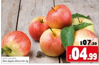 Kenz Hypermarket Mini Apple Africa Per Kg offer