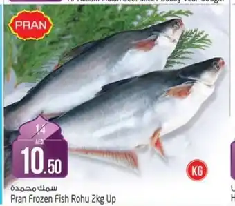 Safari Hypermarket Pran Frozen Fish Rohu 2kg Up offer