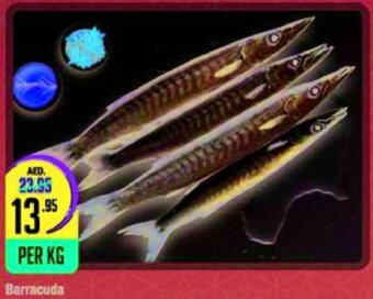 West Zone Supermarket Barracuda offer