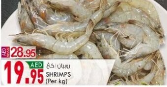 KM Trading Shrimps offer