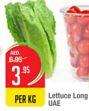 West Zone Supermarket Lettuce Long UAE offer