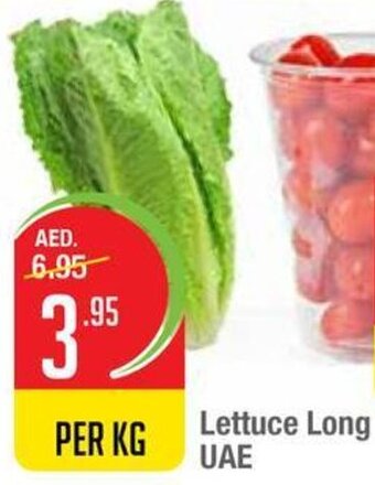 West Zone Supermarket Lettuce Long UAE offer