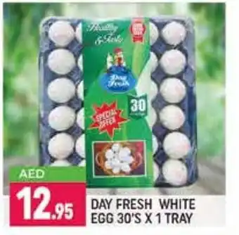 Shaklan Day fresh white egg 30's x 1 tray offer