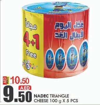 KM Trading Nadec Triangle Cheese 100gx5pcs offer