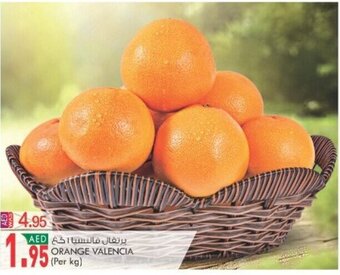 KM Trading Orange Valencia Per kg offer