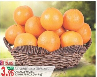 KM Trading Orange Navel South Africa Per kg offer