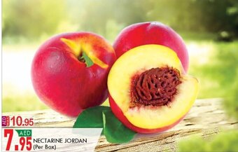 KM Trading Nectarine Jordan offer