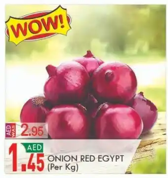 KM Trading Onion Red Egypt offer
