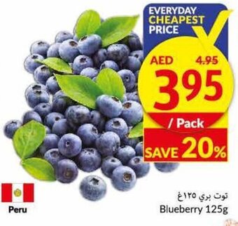 Viva Blueberry 125g offer