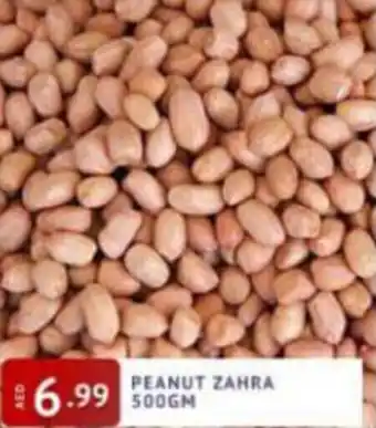 Al Madina Hypermarket Peanut Zahra 500gm offer