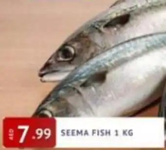 Al Madina Hypermarket Seema Fish 1kg offer