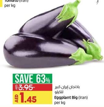 Lulu Hypermarket Eggplant Big (Iran) Per Kg offer