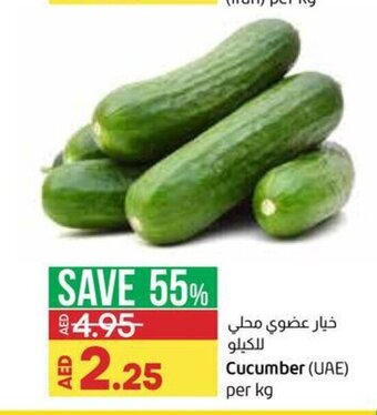 Lulu Hypermarket Cucumber (UAE) Per Kg offer