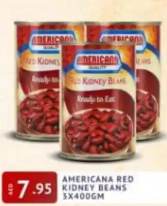 Al Madina Hypermarket Americana Red Kidney Beans 3x400gm offer