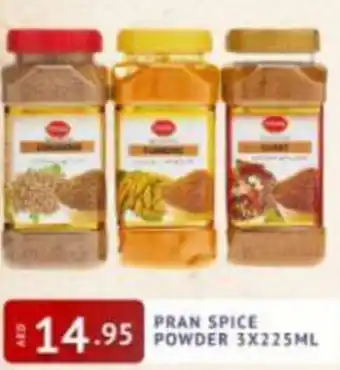 Al Madina Hypermarket Pran Spice Powder 3x225ml offer