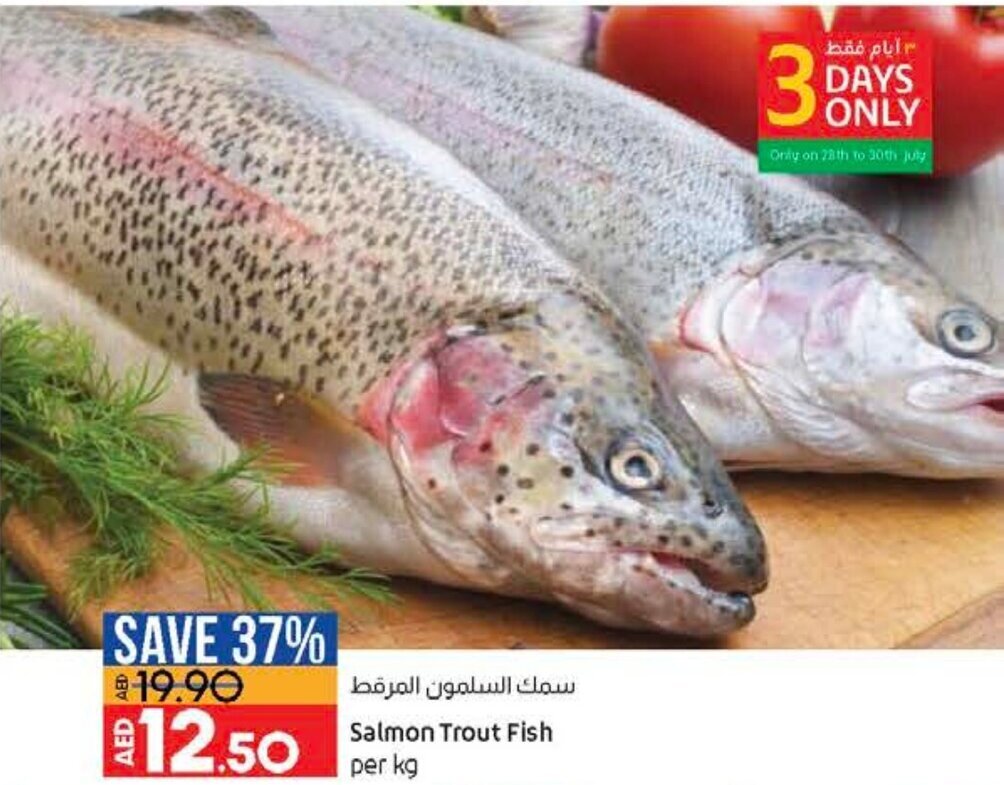 Salmon trout fish per KG offer at Lulu Hypermarket