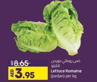 Lulu Hypermarket Lettuce Romaine (Jordan) per kg offer
