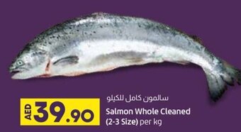 Lulu Hypermarket Salmon Whole Cleaned (2-3 Size) per kg offer