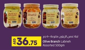 Lulu Hypermarket Olive Branch Labneh Assorted 500gm offer