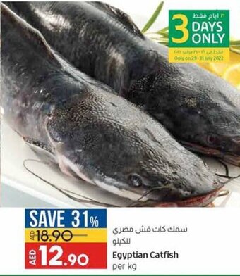 Lulu Hypermarket Egyptian catfish per KG offer