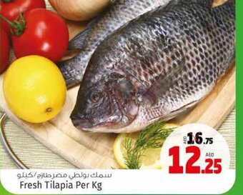 Kenz Hypermarket Fresh tilapia per KG offer