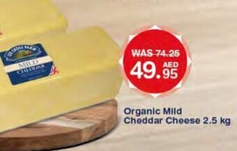 Choithrams Lye cross farm organic mild cheedar cheese 2.5KG offer
