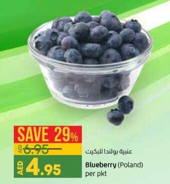 Lulu Hypermarket Blueberry offer