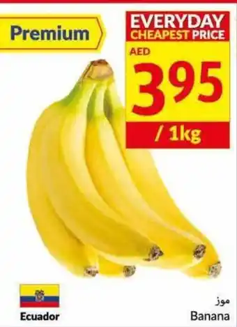 Viva Banana Ecuador / KG offer
