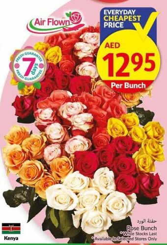 Viva Rose bunch offer