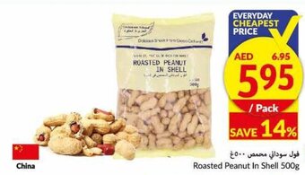 Viva Roasted peanut in shell 500G offer