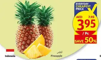 Viva Pineapple / PC offer
