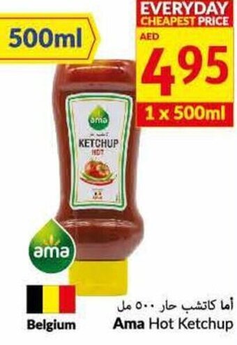 Viva Ama hot ketchup 1 x 500ML offer