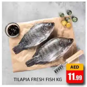 Al Madina Tilapia fresh fish KG offer